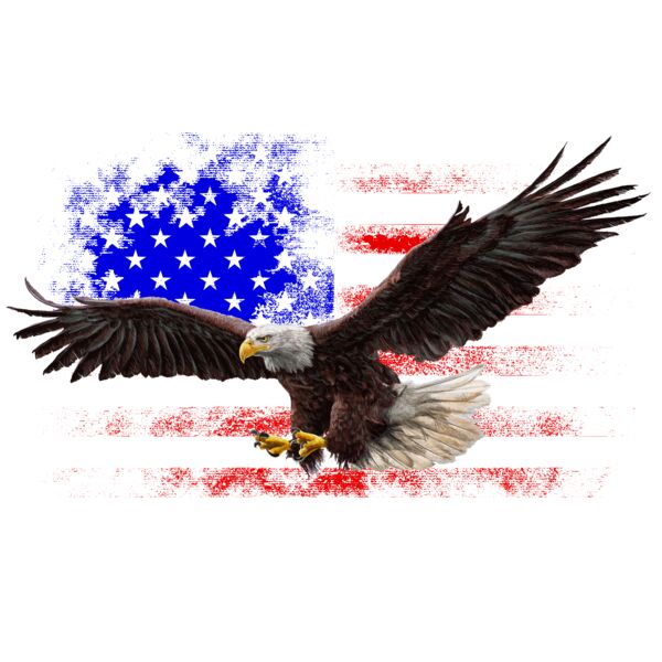 America Thumbnail