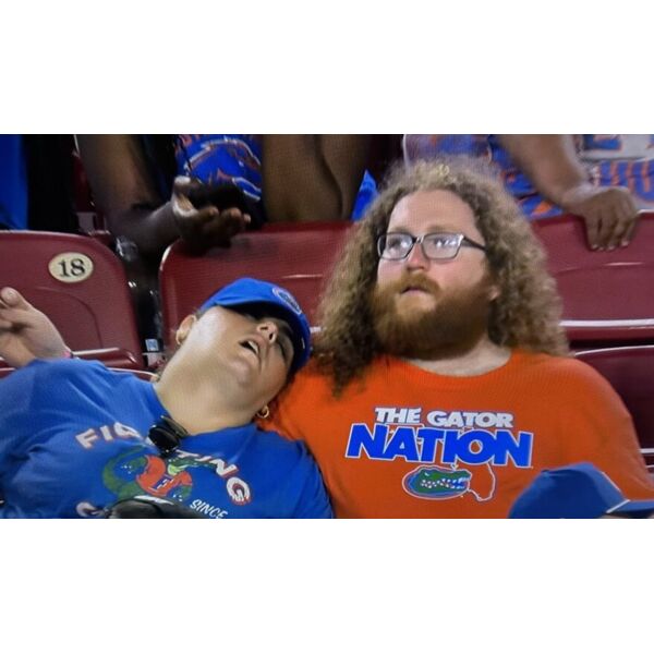 sleeping gator fan Thumbnail